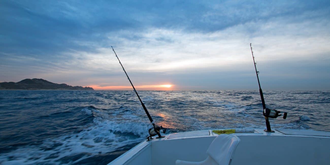 tuna & shark fishing